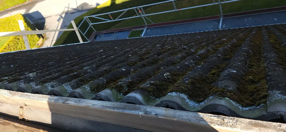 Mossa på betongpannor i Kävlinge