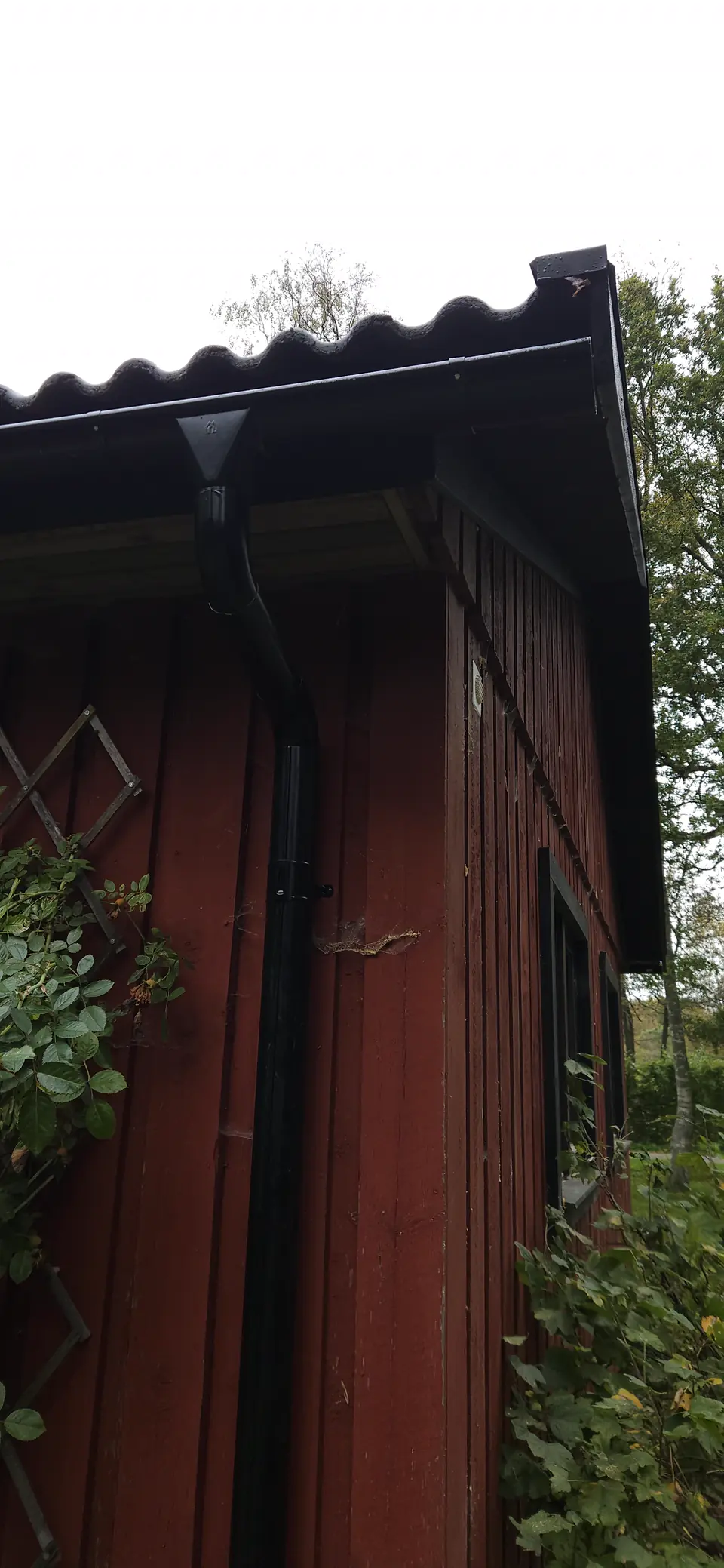 Ny vindskiva och avvattning på gaveln, nytt betongtak i Höör